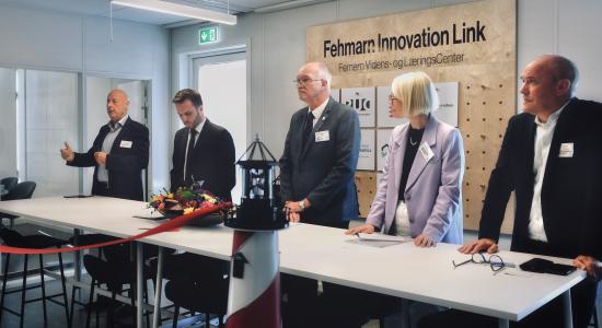 vlc-femern-belt-development