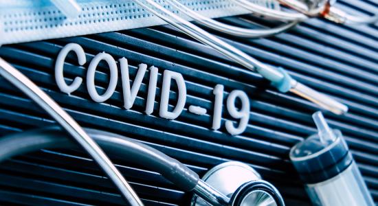 covid-femern-belt-development