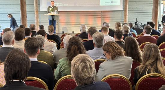 flic-femern-belt-development