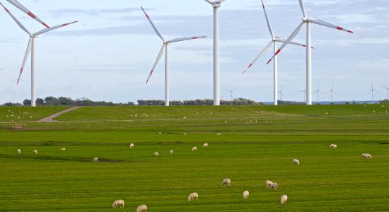 grøn-omstilling-femern-belt-development