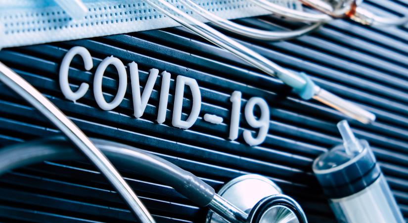 covid-femern-belt-development