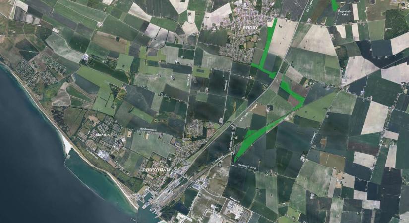 Naturområde-femern-belt-evelopment