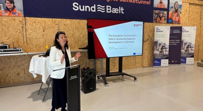 sofia-alves-femern-belt-development